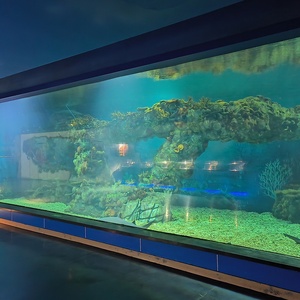 <span class=keywords><strong>Aquarium</strong></span> acrylique écologique extra large avec zones peu profondes et profondes Garantie de 10 ans pour les expositions de tortues de mer géantes - Product Image 2