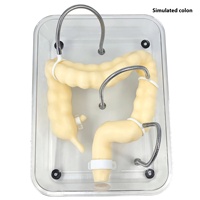 Modèle de colon modèle de formation à la coloscopie modèle de Simulation de coloscopie réaliste douce formation en soins infirmiers éducation en sciences médicales