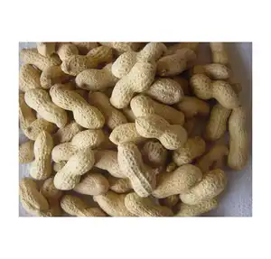Peanuts friados exclusivos de qualidade garantida em concha