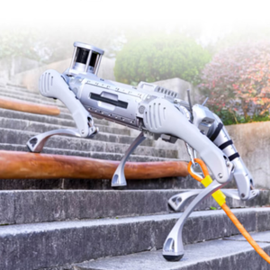 Robot Perro Cuadrúpedo Metálico de Alto Rendimiento B2 con Movilidad Híbrida Rueda-Pata y Sistema de Percepción Avanzado - Product Image 1