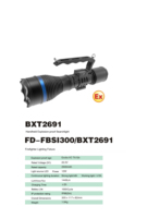Lampe torche LED anti-explosion à haut lumen, rechargeable, pour pompiers, sauvetage, marine, offshore, industrie