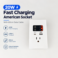Harga Grosir Soket US Dengan Kabel Pintar Retractable USB dan Type C Panel Soket Dinding PC Dengan Port USB Berkualitas Tinggi