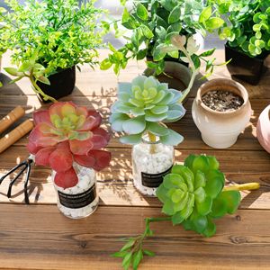 Succulentes artificielles CallaFloral en PVC, caoutchouc souple, décoration intérieure, plantes vertes pour la maison, le bureau, la décoration de bureau. - Product Image 1