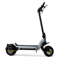 Trottinette Électrique 800W en Promotion, Cadre en Alliage d'Aluminium, Trottinette Pliante à Deux Roues