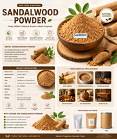 Poudre de bois de santal pur, poudre naturelle de Santalum Album, qualité cosmétique, prix en gros, matière première pour l'encens et la formulation cosmétique