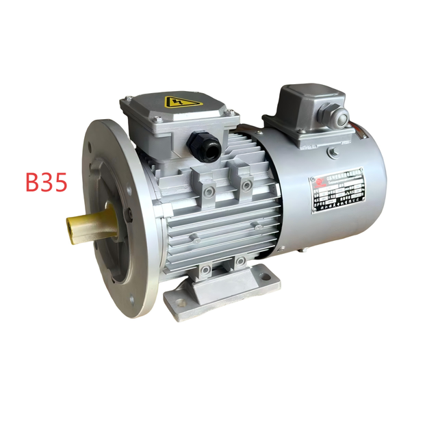 YVF Series 900RPM IE3 High Efficiency 6 Pole Three Phase Induction Motor Variable Frequency Drive 380V IP54 Support B35/B5