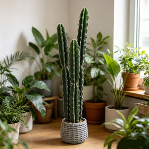Planta de Cactus Columnar Artificial Realista, Cactus San <span class=keywords><strong>Pedro</strong></span> en Maceta, Cactus Grande y Alto para Decoración de Interiores de Hogar, Oficina y Sala de Estar - Product Image 5
