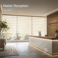 Persianas Motorizadas para Ventanas Ilvia con Control por WiFi y Aplicación, Compatibles con Google Alexa, Persianas Doble Zebra para Hoteles