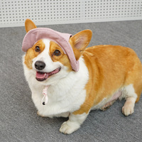 Chapeau de pêcheur respirant pour chien, protection solaire, été, pour chiens de petite et moyenne taille, Teddy, Corgi, Joker, rouge, coton-polyester, monochrome