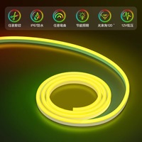 Kit de Bande LED Flexible RGB Néon Dynamique Étanche IP67 24V pour Extérieur, 5M, Découpable, Contrôle via Application Intelligente