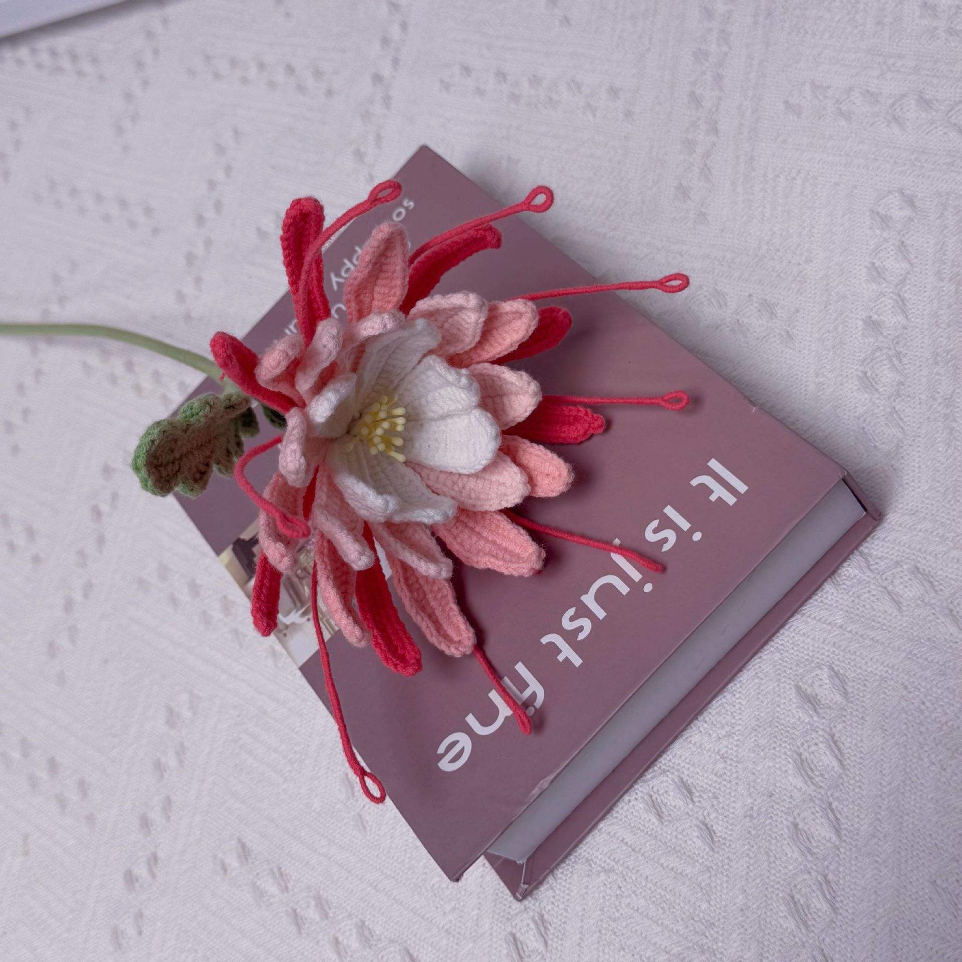 สีกุหลาบแดง