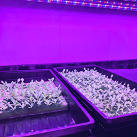 Système de culture hydroponique intérieur commercial pour micro-légumes, ferme en conteneur de transport de plantes