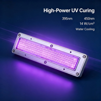 Lampe de séchage UV LED 450W refroidie par eau 150*30mm 14W/cm² pour séchage d'encre UV et d'adhésifs d'imprimantes Ricoh G5 G6 Epson I3200 Toshiba