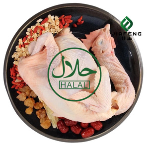 <span class=keywords><strong>Pollo</strong></span> Entero Congelado para Cocinar, Suministro a Granel para Almacenamiento en Frío - Product Image 3