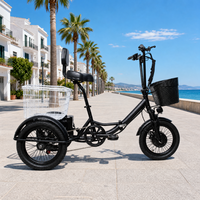Tricycle électrique pliable 16 pouces 48V 350W à cadre bas, 3 roues, vélo cargo électrique avec panier, 7 vitesses, frein à disque pour adultes
