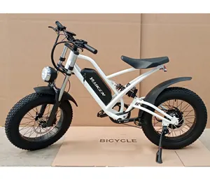 48v低价复古电动自行车复古成人胖轮胎山地辅助Ebike自行车电动自行车待售