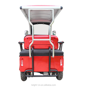 Voiturette <span class=keywords><strong>électrique</strong></span> de tourisme 1200W certifiée CE, 4 <span class=keywords><strong>places</strong></span>, voiturette de golf <span class=keywords><strong>électrique</strong></span> pour adultes - Product Image 2
