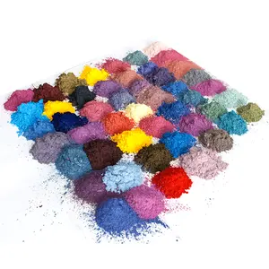 Poudre de mica colorée, pigment plastique pour le couvre-chef, 10 ml