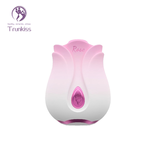 Beliebteste Gradient Rose Saugen Vibrator Adult Sex Produkt 10 Frequenz Absaugung Magnetisch Wiederauf ladbarer Saug vibrator - Product Image 3