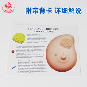 Female breast examination model, medical teaching <b>tool</b>, gynecological human <b>silicone</b> pathology diagnostic demonstration breast - Product Image 4