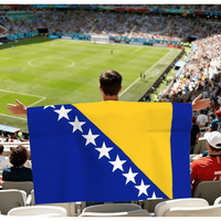 Drapeau de la Zambie à porter en cape, drapeau sportif de qualité avec manches, équipement pour supporters pour les défilés en stade, les soirées de supporters, vente en gros personnalisée à bas prix