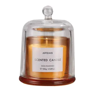 Private Label 100g candele profumate di lusso con cera di soia a lunga durata e fragranza di frutta