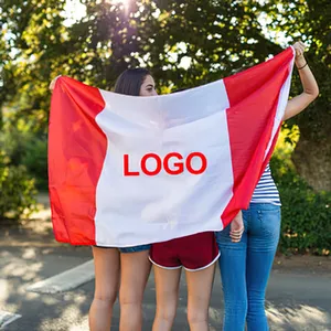 Meilleure vente bannière de drapeau publicitaire promotionnel drapeaux de pays normaux personnalisés drapeau d'impression par sublimation de logo 3x5 pour une utilisation en extérieur