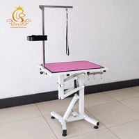 Table de toilettage hydraulique pour chiens avec bras Table de toilettage hydraulique pour animaux de compagnie EUR PET