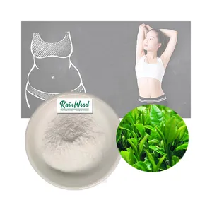 Bulk Pure Green Tea Extract L-Theanine Powder 99% L-Theanine