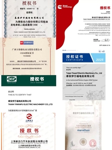 Generadores Diésel Trifásicos Silenciosos Taishan <span class=keywords><strong>de</strong></span> 50kW 62.5kVA 60kVA, Personalizables, Alternador 100% Cobre, Certificación ISO CE - Product Image 5