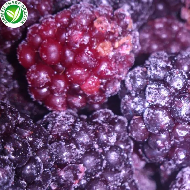 IQF Freeze Organic frozen Fresh Blackberry Wild Healthy unsweetened Black Raspberries Fruit Seedless Great Value Wholesale price