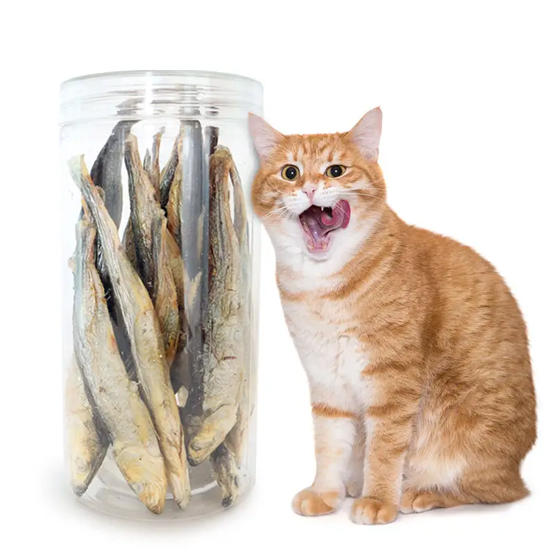 OEM di alta qualità liofilizzato pesce aringa gatti cibo secco cane snack reflex cibo per gatti per animali domestici produttore