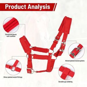 Harnais de cheval en cuir de qualité supérieure, cuir véritable, rembourrage en nylon, confortable, durable, meilleur prix - Product Image 4