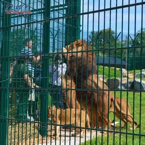 Tlwy באיכות גבוהה עיצוב מותאם אישית 868 656 מוט רשת רשת תיל מרותך <span class=keywords><strong>3ft</strong></span> לוח גידור עבור gerרבים - Product Image 6