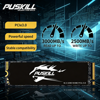 PUSKILL NVMe M.2 2280 PCIe 3.0 SSD 128GB 256GB 512GB 1TB 3000MB/s Kecepatan Tinggi untuk Gaming Laptop/Desktop Internal Solid State Drive