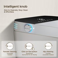 WC intelligent automatique monobloc avec chasse d'eau électrique et bidet intégré pour salle de bain moderne et hôtelière