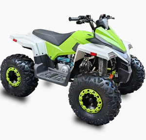 รถเอทีวีควอดไบค์แบบอัตโนมัติ รุ่นใหม่ 300 ซีซี 4 จังหวะ DIY OEM/ODM พร้อมแฮนด์พลาสติก ความเร็วสูงสุด 60 กม./ชม. สำหรับขับขี่ออฟโรดและการผจญภัย - Product Image 3