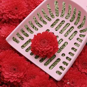 Dongnai PETS prix de gros OEM/ODM parfum agglutinant pin épi de maïs cristal bentonite tofu litière pour chat sable - Product Image 1