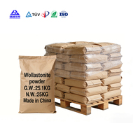 Poudre de Wollastonite 325 Mesh, Remplissage Minéral à Rapport d'Aspect Élevé pour Plastiques Techniques et Céramiques