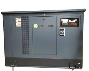 Topkwaliteit 20kw 30kw Cng Gas Generator Set Eenfasige Home Power Inverter Lpg Propaan Stille Draagbare Gas Generator 20-30kva