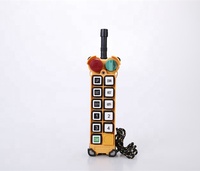 Télécommande sans fil automatique à code fixe 315 MHz pour grue, en plastique, modèle F24-10S, portée 100 m