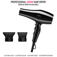 Sèche-cheveux professionnel FirePhoenix 6200 Max Pro avec logo personnalisé OEM ODM, moteur BLDC haute puissance 3000W, séchage rapide, pour salon et usage domestique