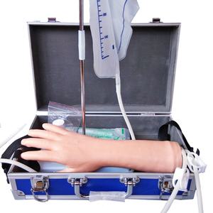 Modèle d'entraînement médical et modèle de soins infirmiers, pour l'entraînement médical IV et la perforation du bras supérieur - Product Image 1