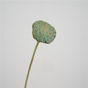 Cây Giống Hoa Sen Pu Nhân Tạo Để Trang Trí Hoa Sen Giả Lá Sen Hoa Sen Nhân Tạo - Product Image 3