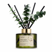 Lot de diffuseurs à bâtonnets haut de gamme TopOne 6,76 oz avec bâtonnets d'eucalyptus, intensité d'arôme réglable, flacon en verre pour la décoration intérieure
