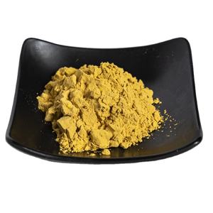 Chinês Goldthread raiz extrato/coptis Chinensis extrato 20:1 - Product Image 3