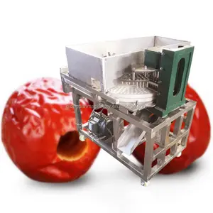 Mesin penghilang biji bayberry otomatis, mesin pelubang zaitun Australia, mesin penghilang biji palem tanggal ceri