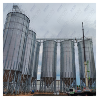 Silo Industrial de Acero para Granos de Café de Gran Capacidad (100-15000 Toneladas), Construcción Galvanizada en Caliente de Doble Capa, Control PLC Centralizado