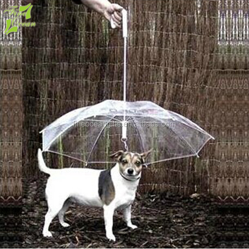 Dog under umbrella deals