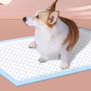 OEM Écologique Imperméable Couches d'apprentissage jetables pour chiots, absorbantes pour l'urine des animaux, XL 60x90 - Product Image 6